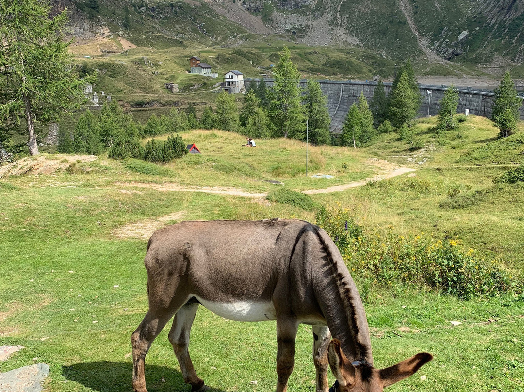 Rifugio Laghi Gemelli景点图片