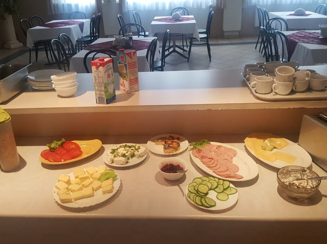 Chorzow酒店住宿-Hotel Skaut