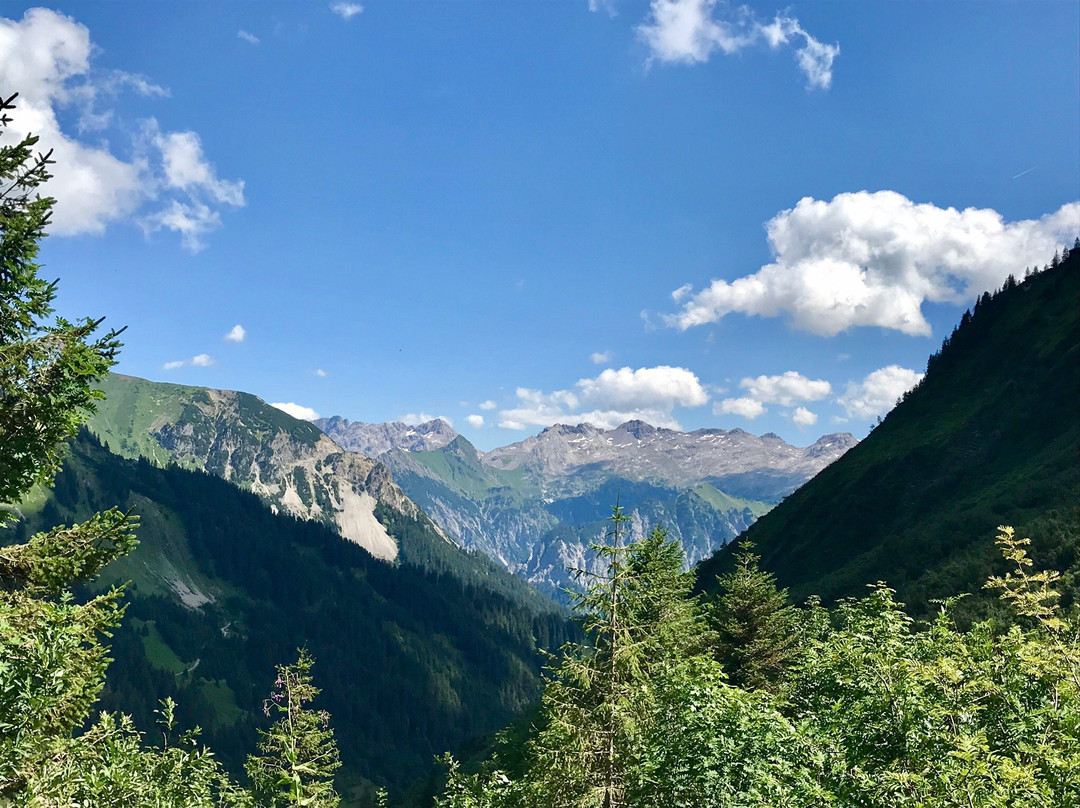 Alpenresort Walsertal主图