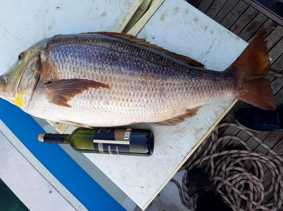 True Boat Croatia-奥格勒纳莫鲁必去景点
