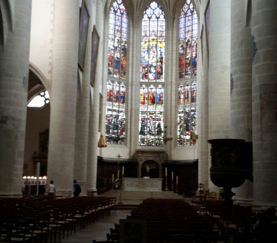 Collégiale Notre-Dame de Dole景点图片
