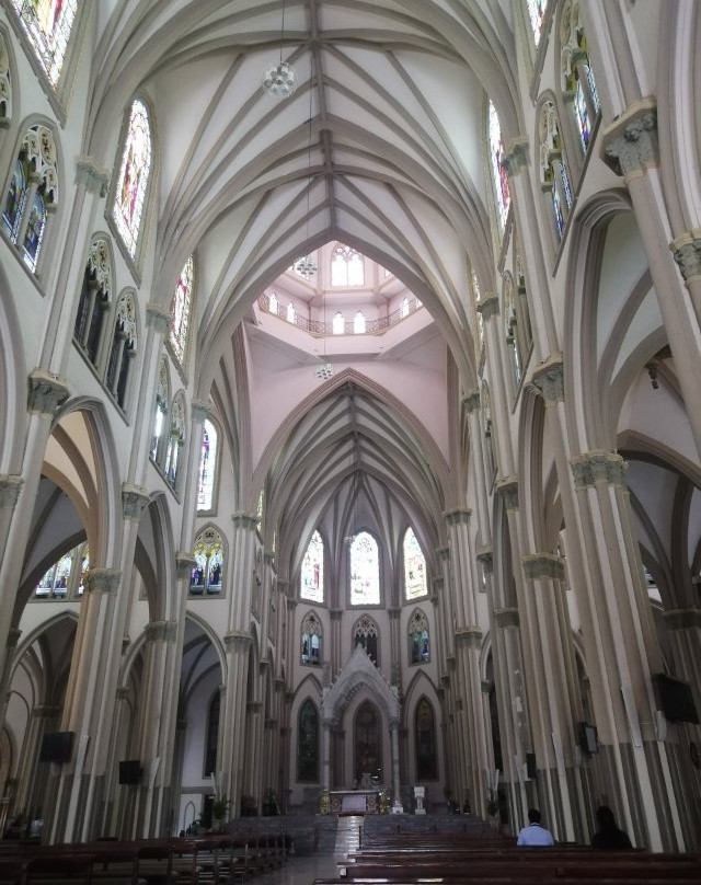 Catedral Metropolitana de Guayaquil景点图片