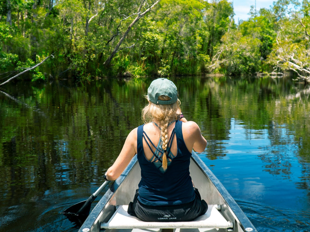 Everglades Eco Safaris景点图片