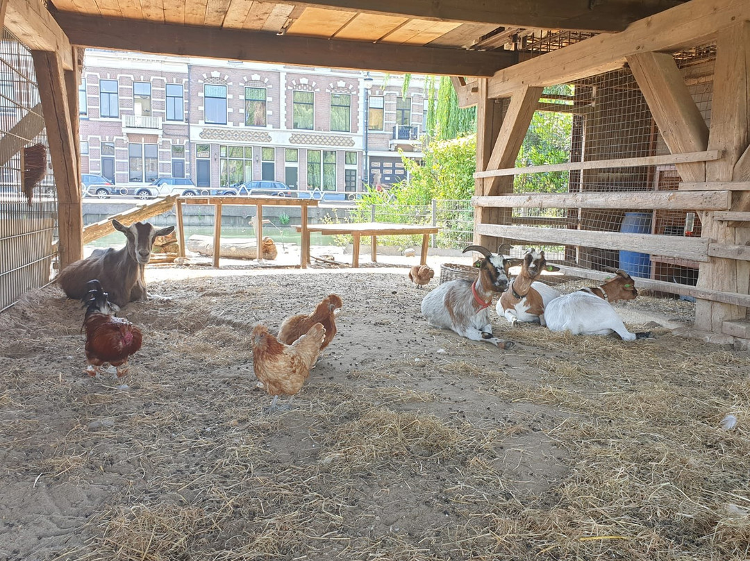 Houtzaagmolen De Ster-乌特勒支必去景点