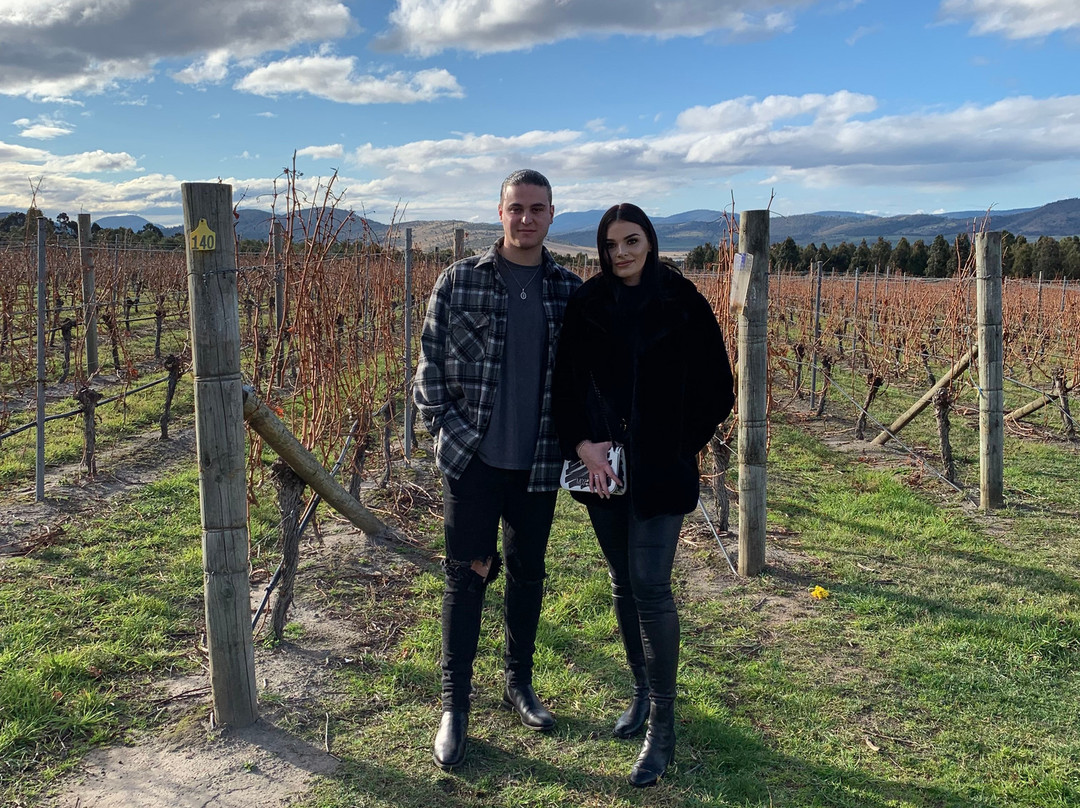 Apple Isle Wine Tours-霍巴特必去景点