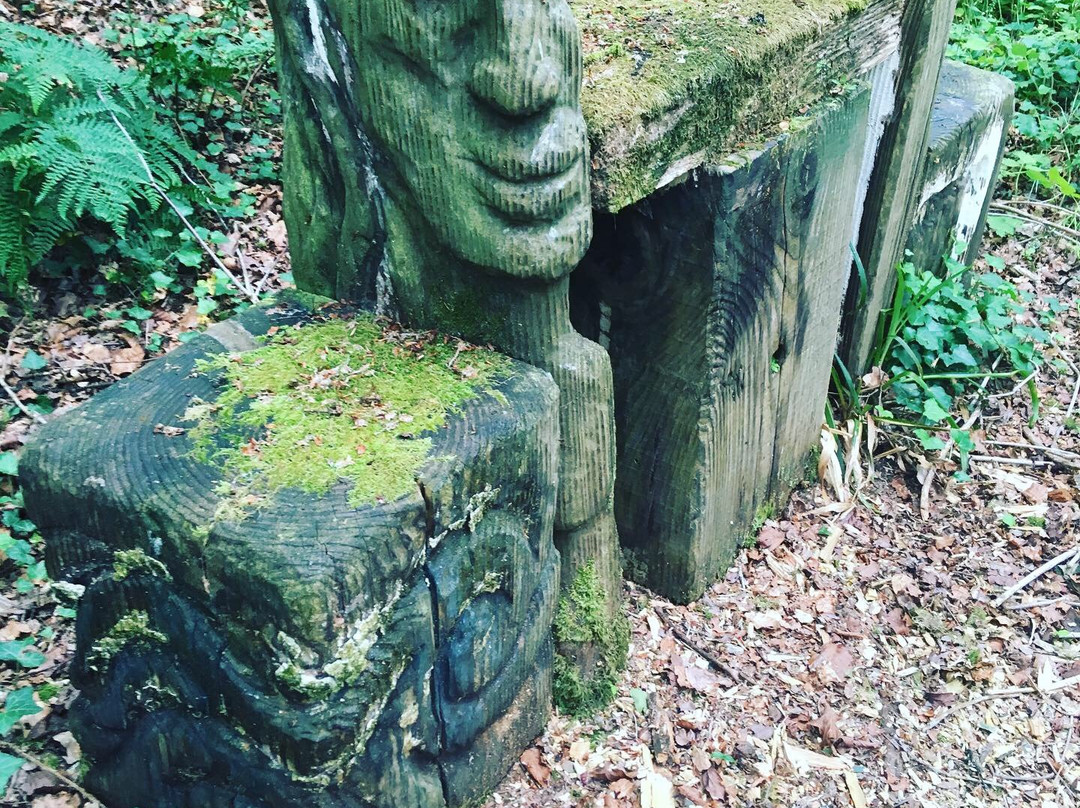 Nant y Coy景点图片
