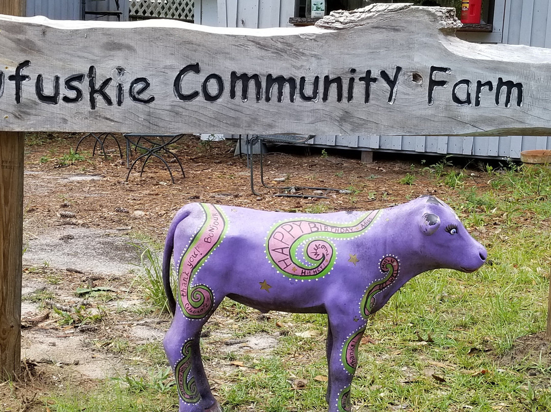 Daufuskie Island Ferry-希尔顿头岛必去景点