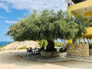 La Casa D' Irene主图