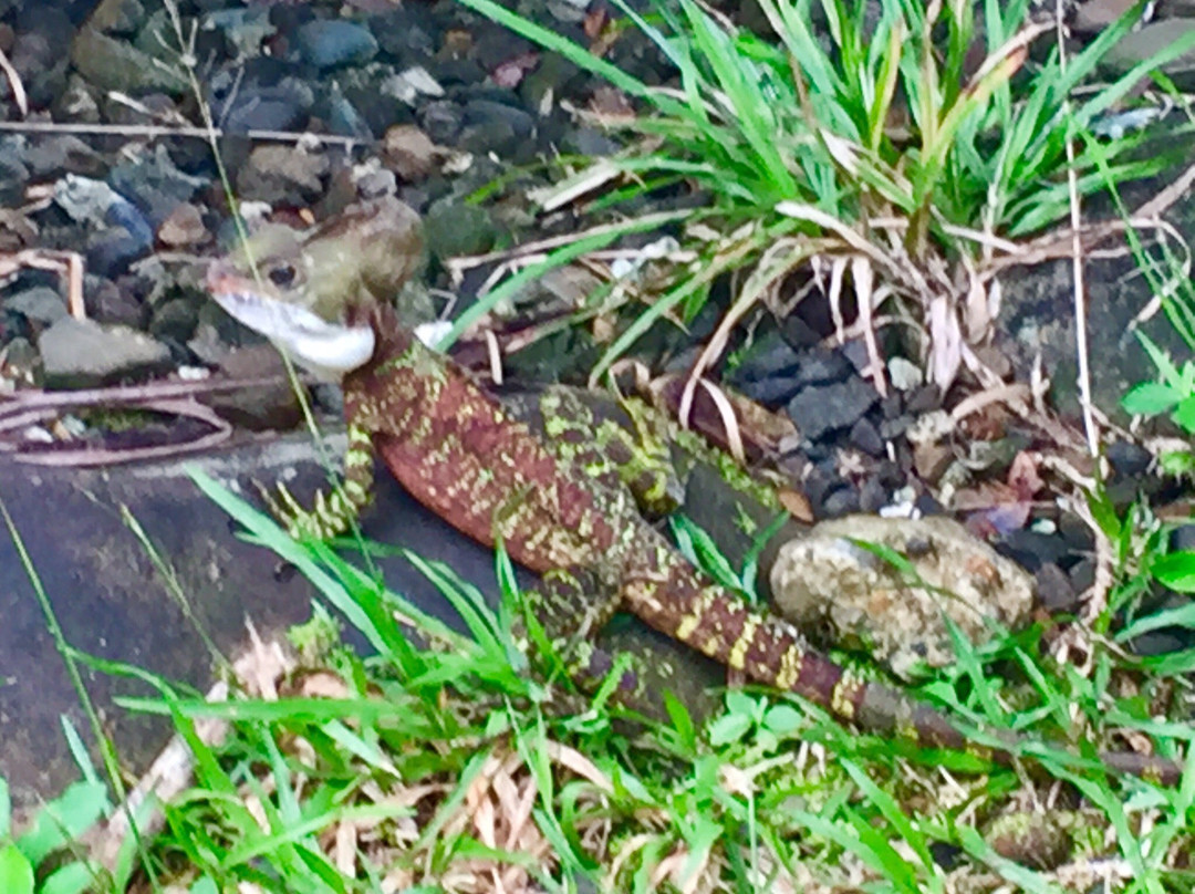 Guapi旅游攻略图片