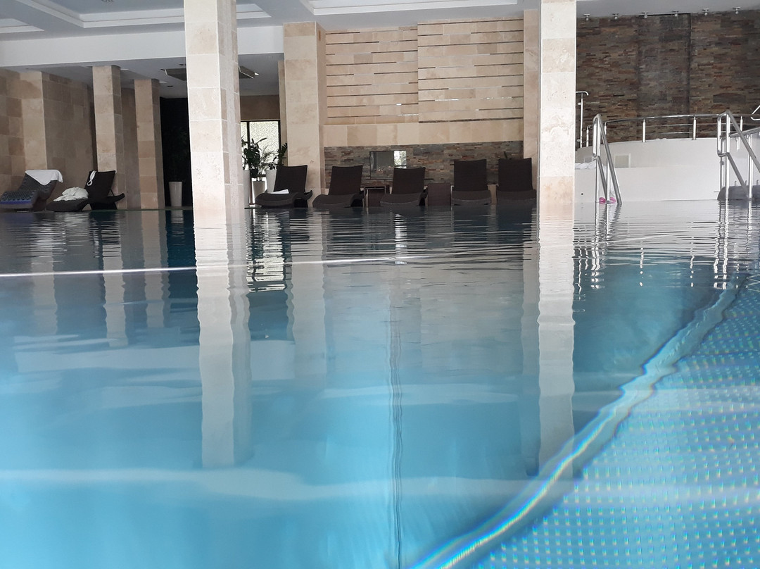Hotel Bialowieski Conference Wellness & Spa主图