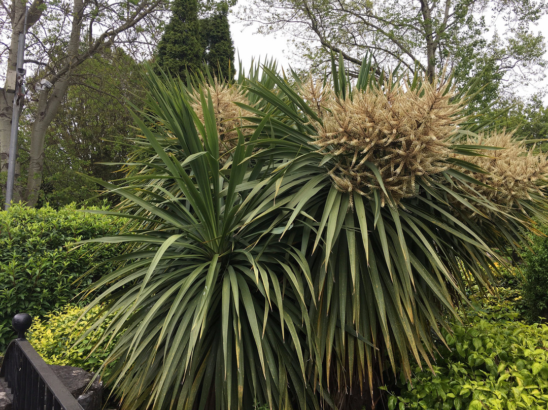 Adare Town Park-Adare必去景点