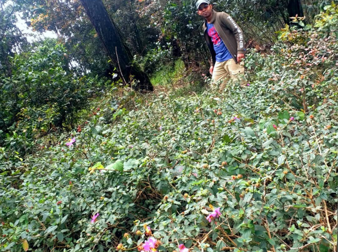 Hiking Bambarakanda to Horton Plains-Ohiya必去景点