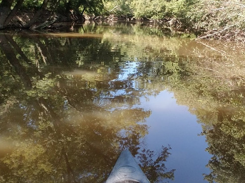 Blue Moon Canoe and Kayak-路易斯维尔必去景点