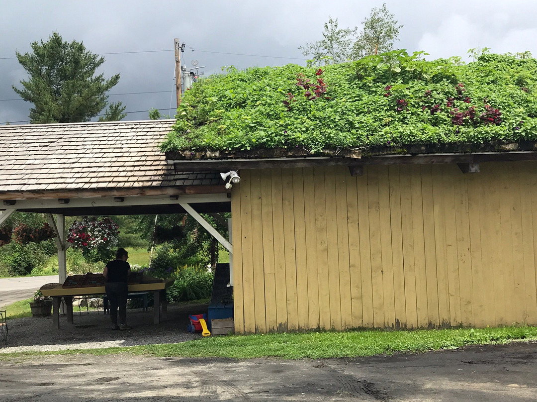 Pete's Greens Craftsbury Farmstand景点图片