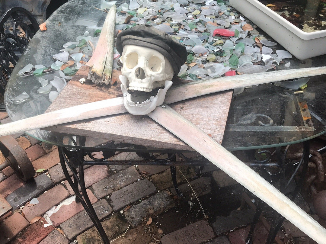 Oddities & Antiques-克利尔沃特必去景点