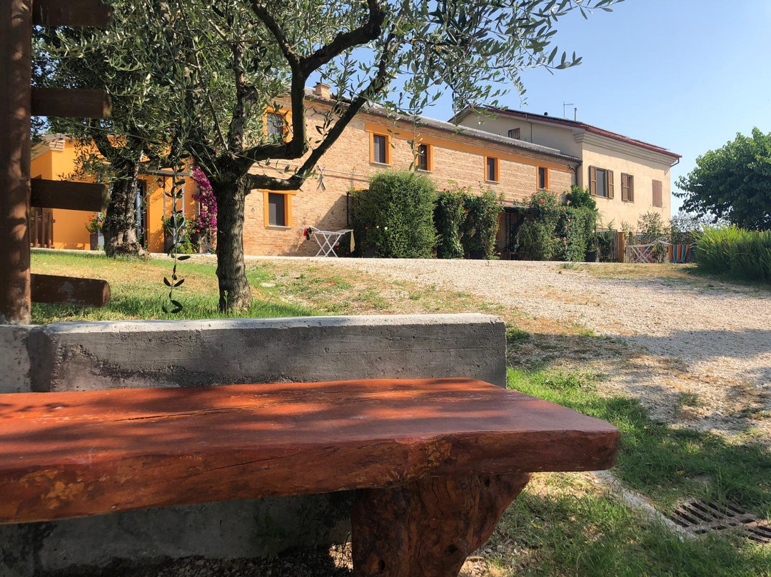 Agriturismo Il Vecchio Scornabecco主图