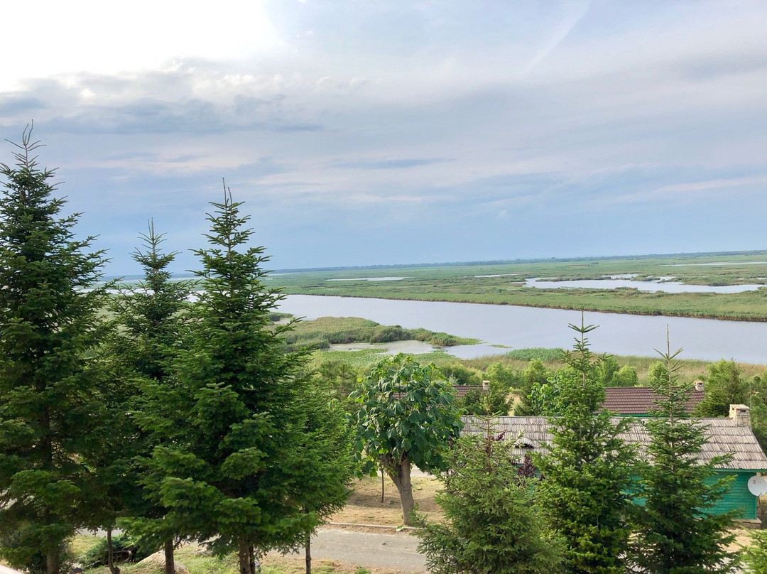 Delta Nature Resort主图