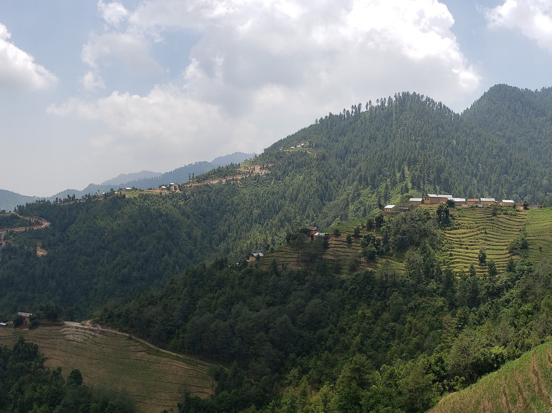 马哈巴哈拉特山家庭旅馆