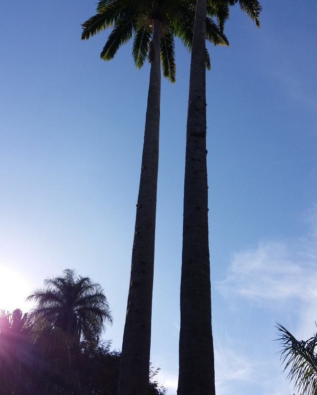 Praça Carlos Gomes-坎皮纳斯必去景点