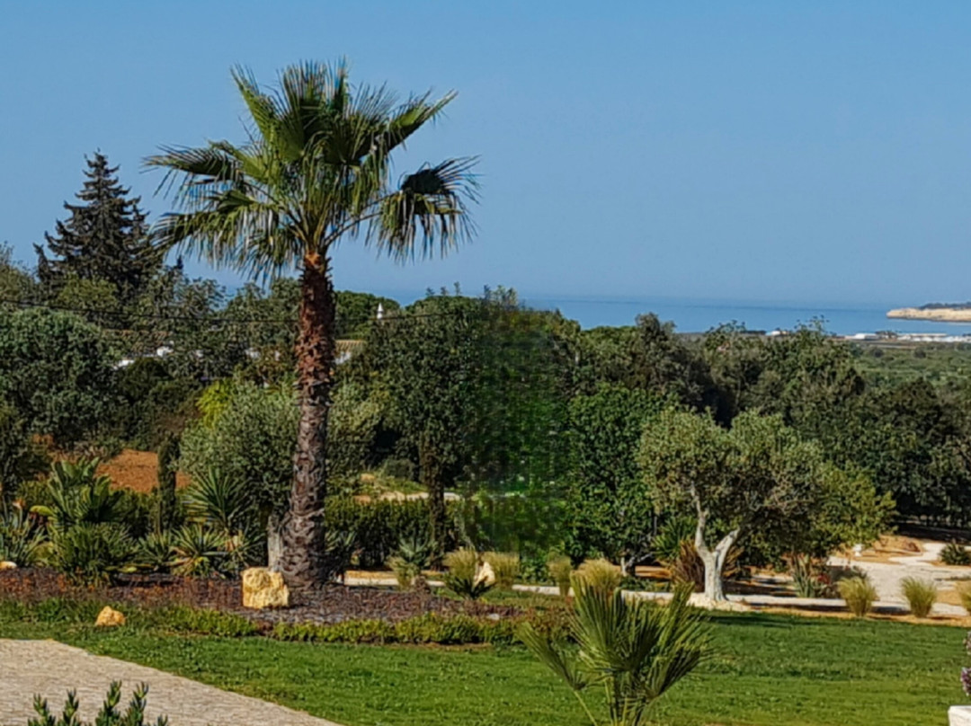 Monte da Saudade Bed & Breakfast