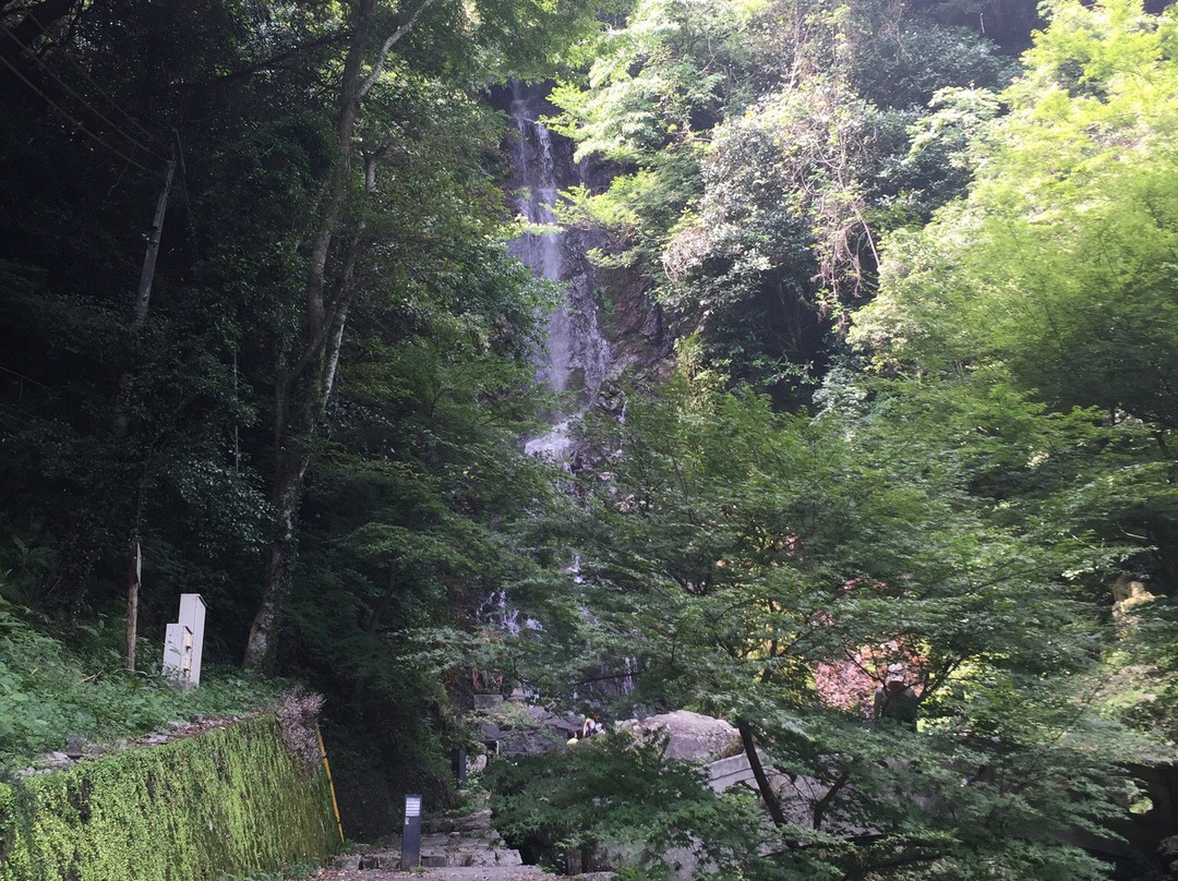 Kiyomizu Falls景点图片