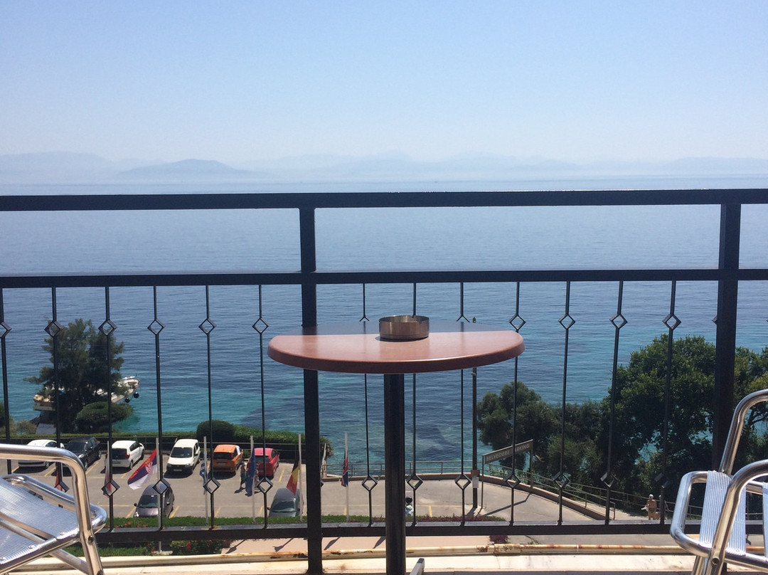 米茨斯贝尔维德雷的Canvas主图