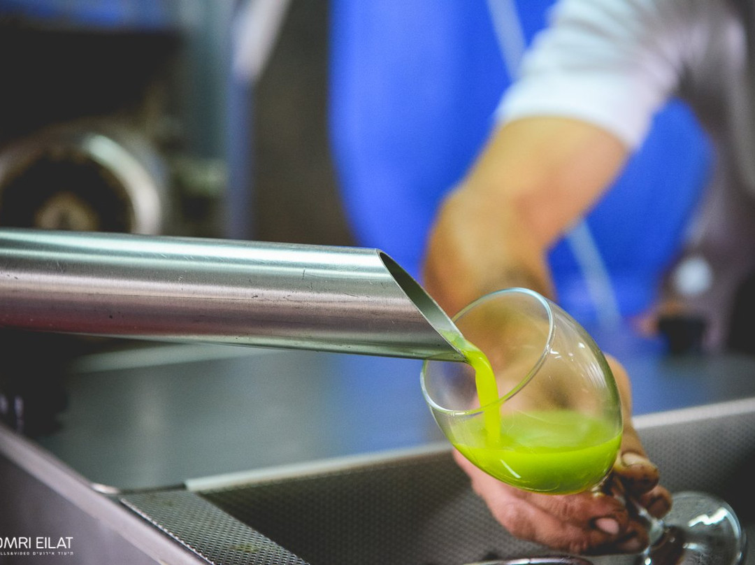 Beit Lechem Haglilit旅游攻略图片