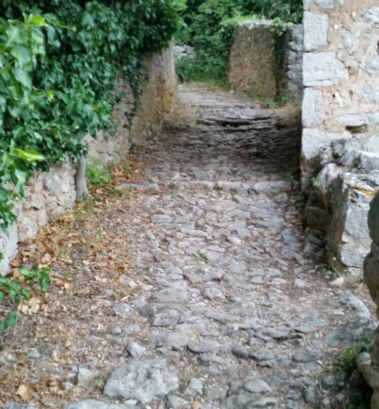 Hvar4You Travel Agency景点图片
