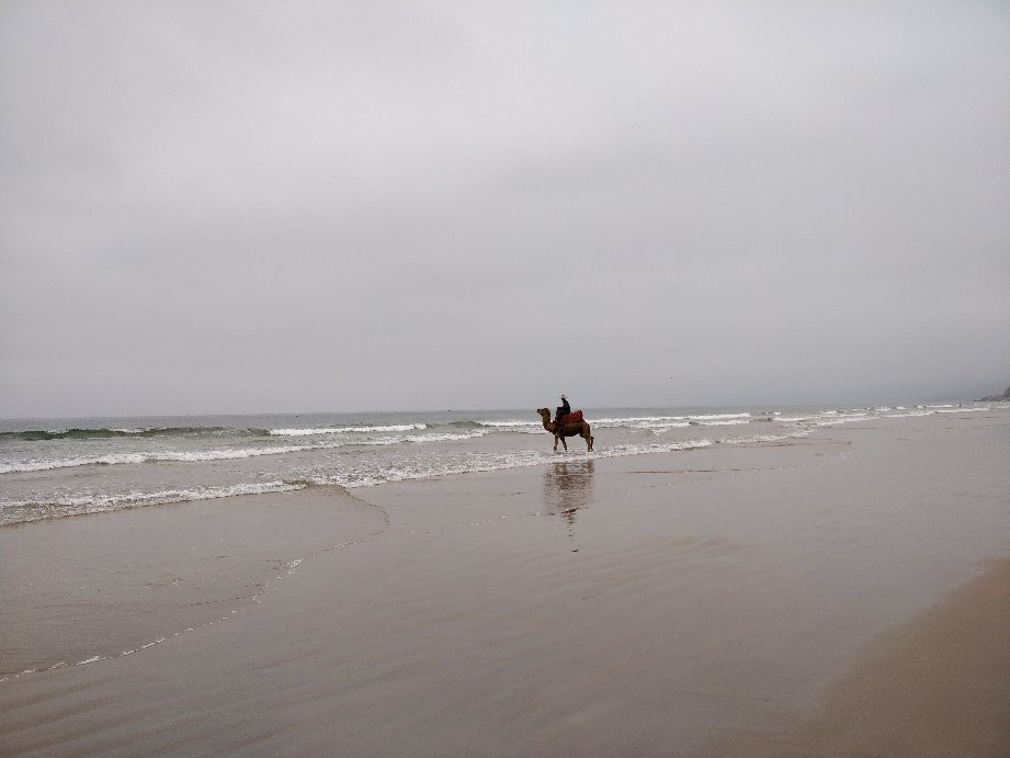 Sidi Bouzid Beach (Plage de Sidi Bouzid)景点图片