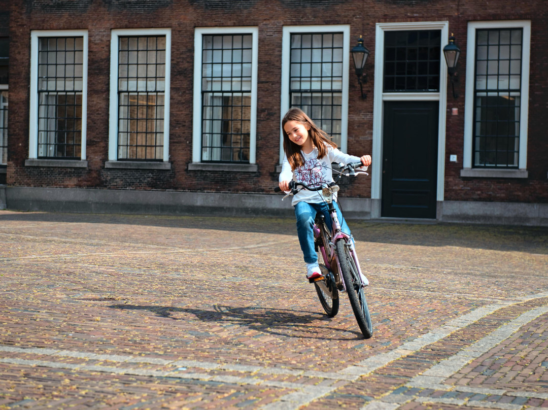 seeTheHague Bike Tours-海牙必去景点