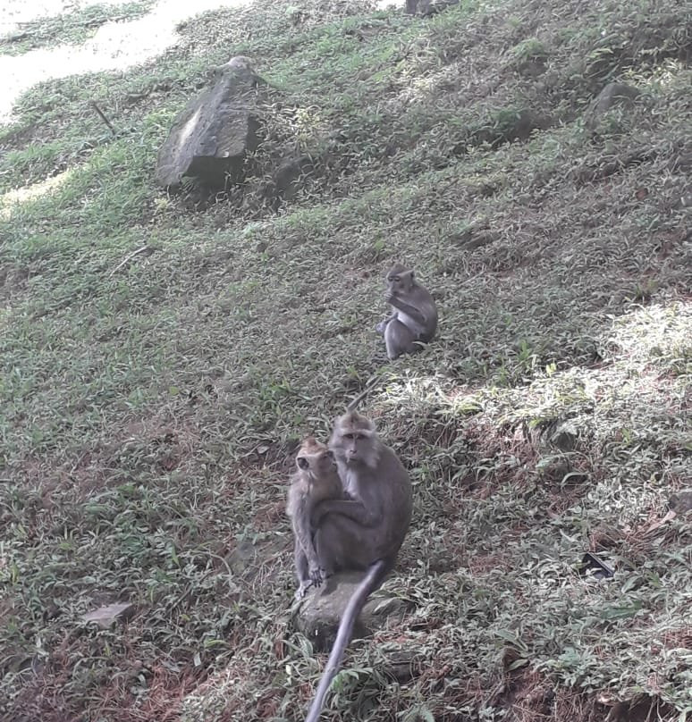 Nangka Waterfall景点图片