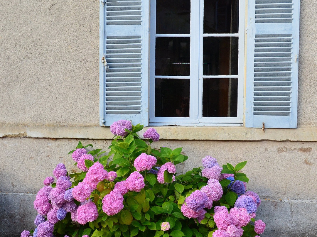 拉兰德城堡酒店主图