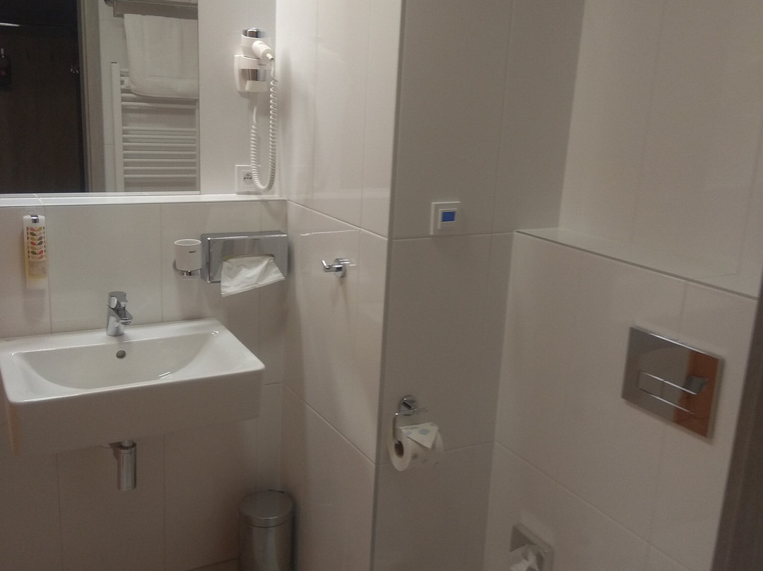 Hotel Panska Zahrada主图