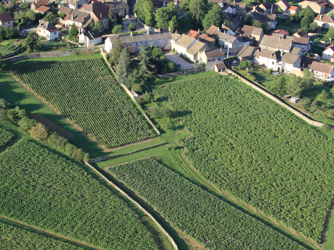 Domaine de l'Eveche景点图片