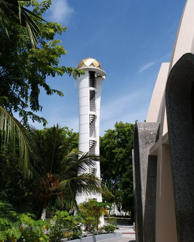 Hulhumale Mosque景点图片