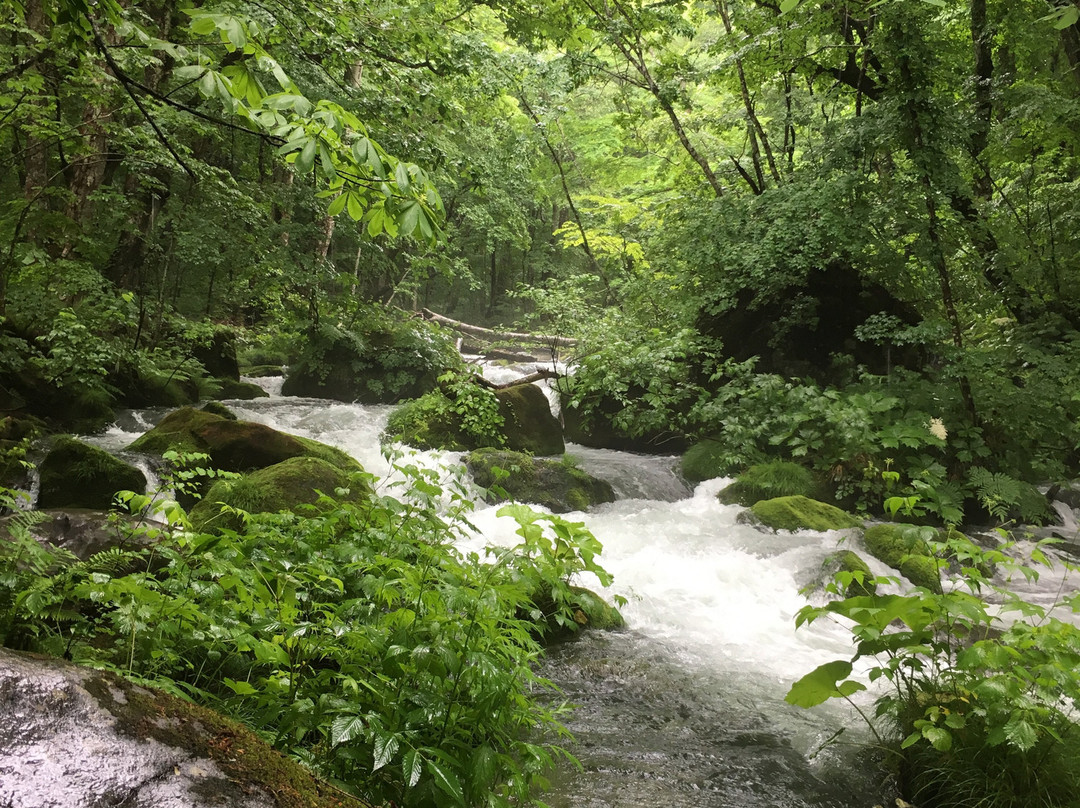 奥入濑溪-十和田市必去景点