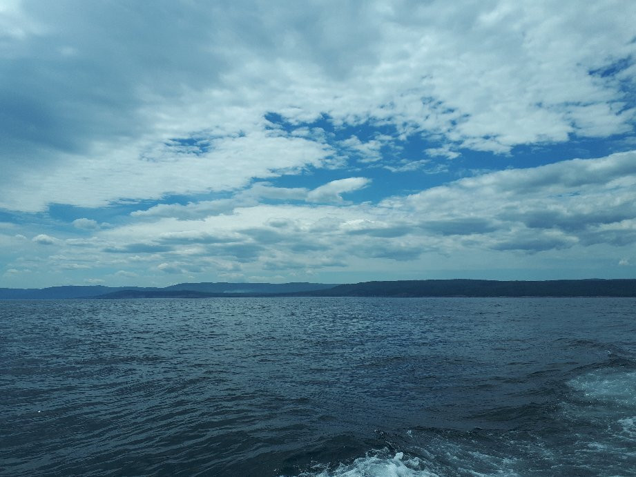 Dixon's Zodiac Seafari-Neil's Harbor必去景点