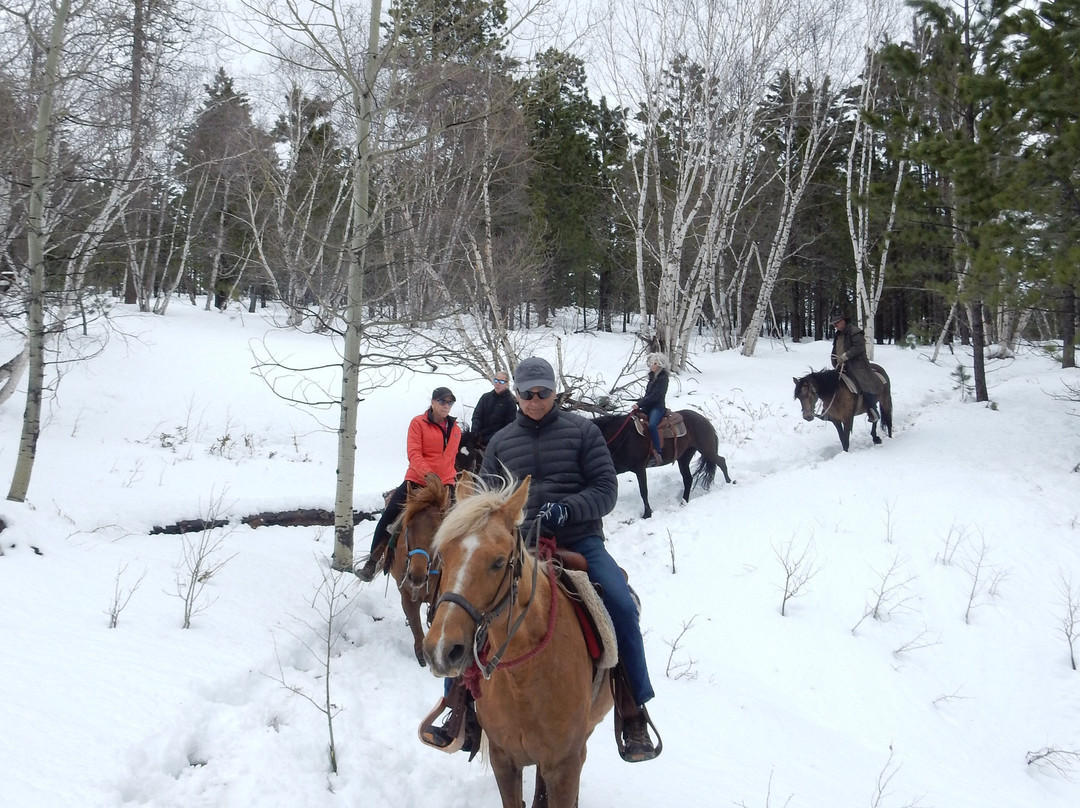 Andy's Trail Rides-Lead必去景点