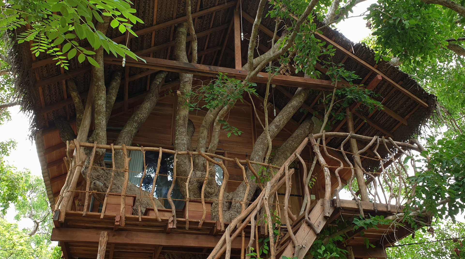 Ambasewana Resort-官方