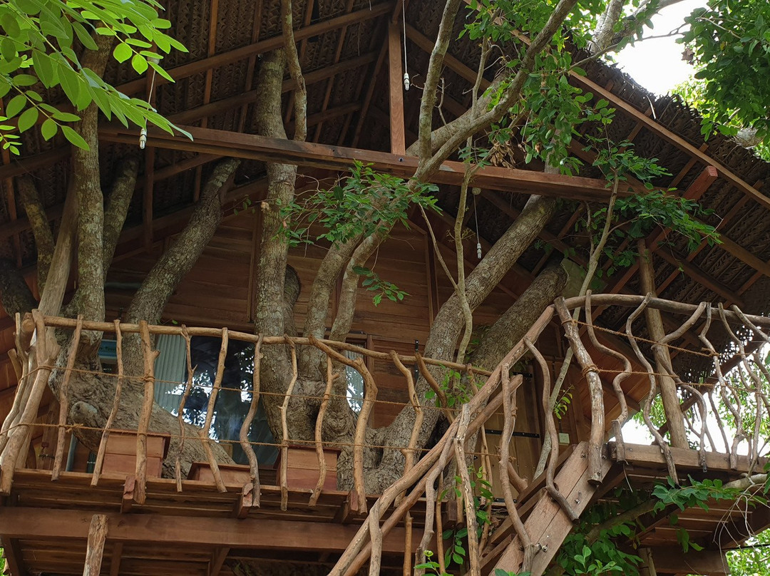 Galapitagala酒店住宿-Ambasewana Resort