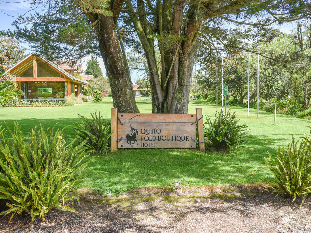 La Palma Polo Hotel主图