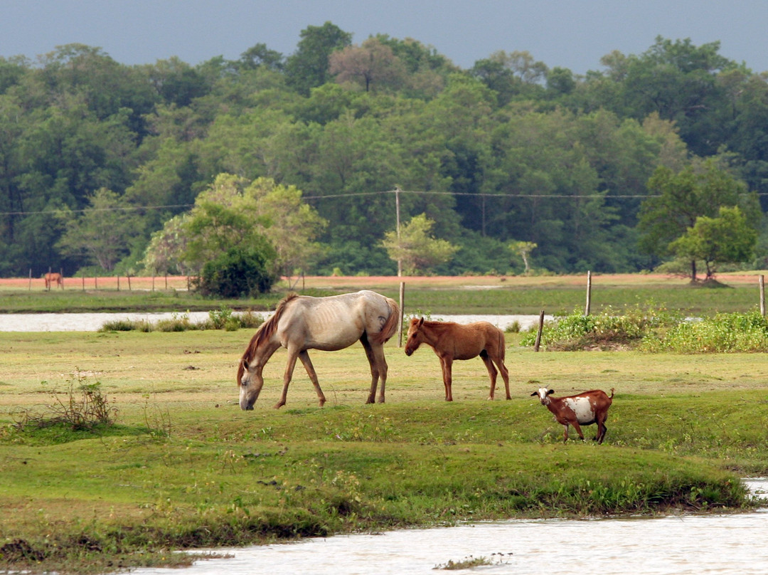 Bom Jesus Farm-Soure必去景点