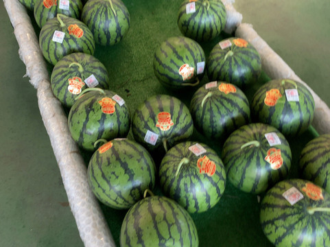 Sun Green Asahi-鉾田市必去景点