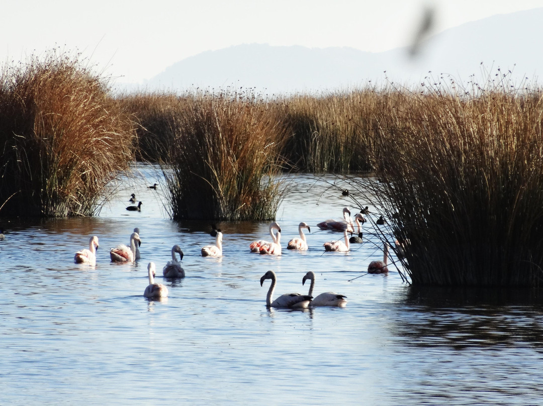 Spiritual Peru Land Travel-普诺大区必去景点