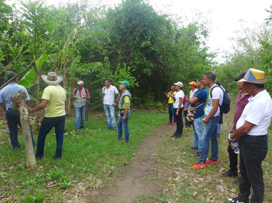 Asocalim-Luruaco必去景点