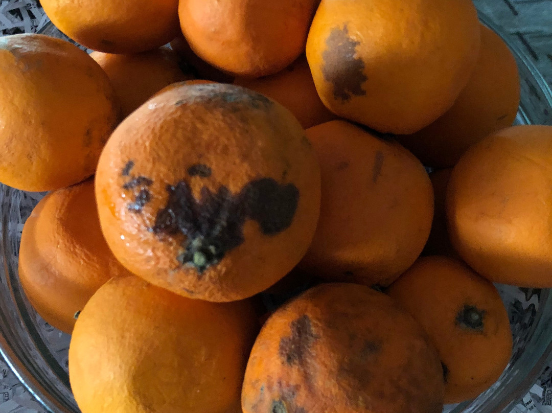 Fourway Hotel SPA & Restaurant主图