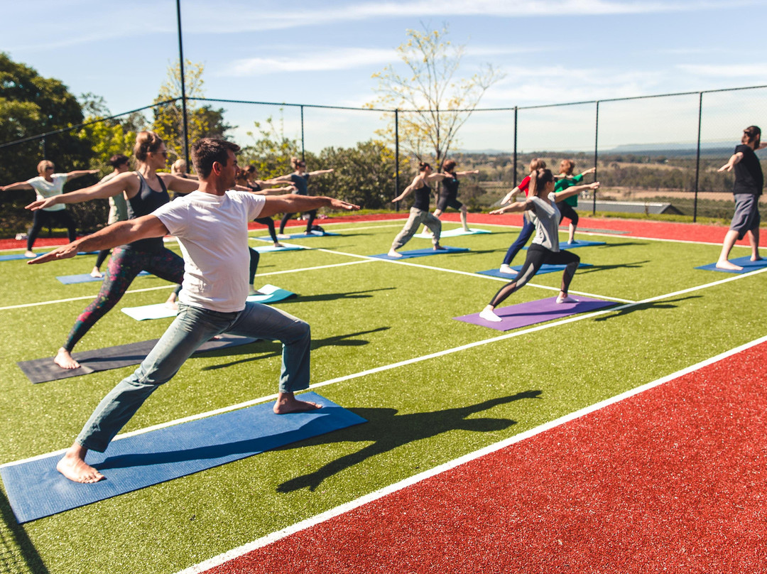 Yoga in the Vines景点图片