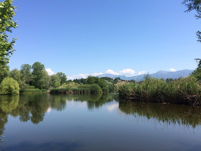 Lago di Sartirana