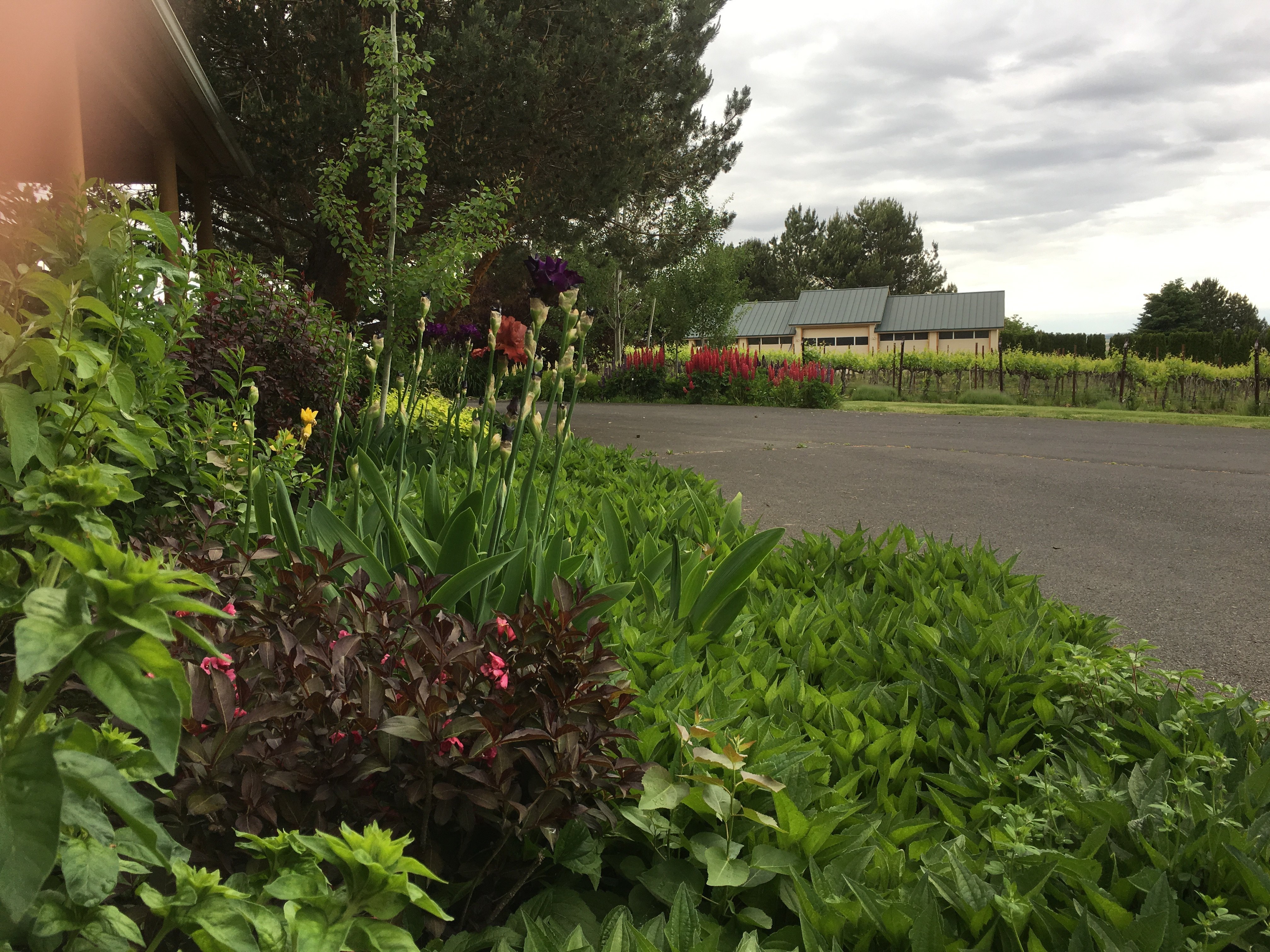 Johnson Ridge Inn & Vineyard-官方