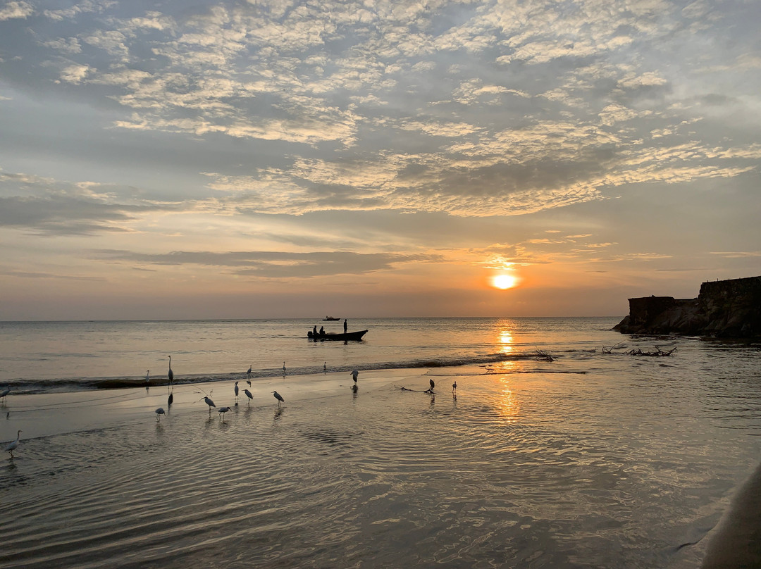 The Cantamar Beach Hostel主图